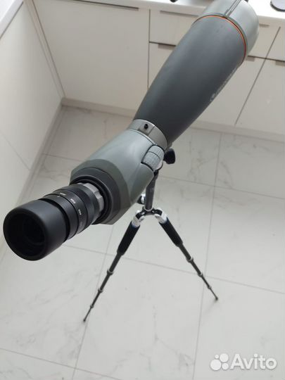 Зрительная труба Celestron Regal 100 F-ED
