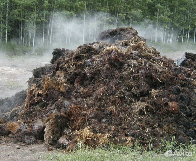 Продаю Навоз