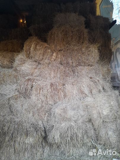 Сено в тюках