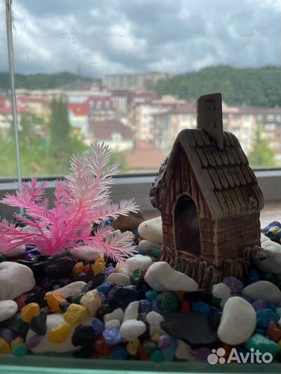 Аквариум 5л