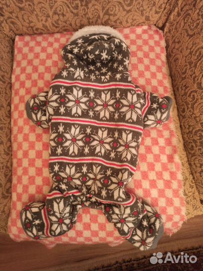 Зимний костюм для собаки (такса)