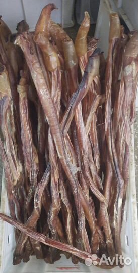 Сушёные лакомства для собак