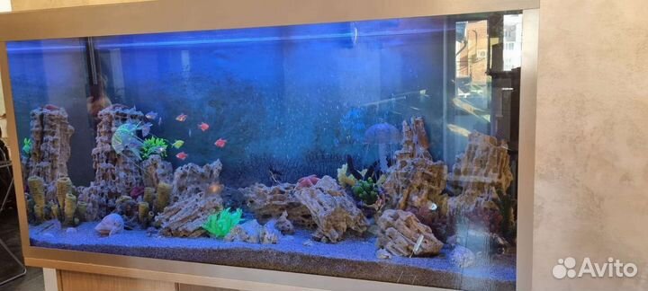 Обслуживание и чистка аквариума