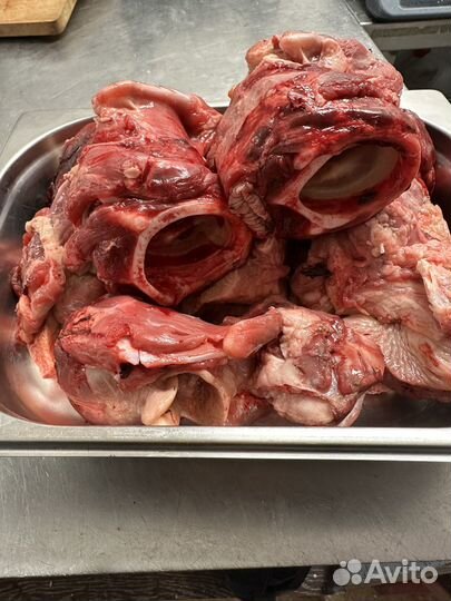 Мясо для собак. Говядина