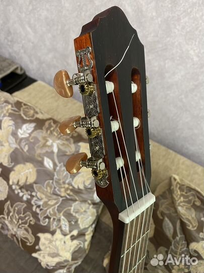 Классическая гитара cort ac200 op