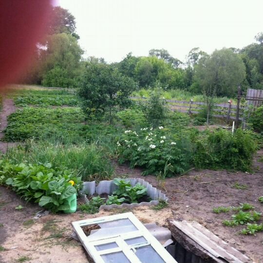 Участок 30 сот. (ИЖС)