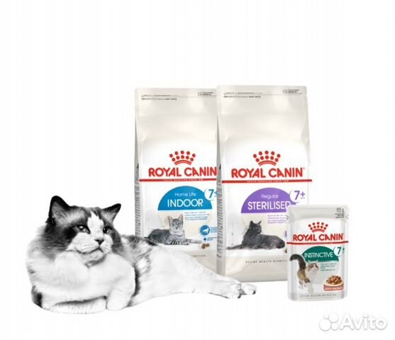 Корм Роял Канин