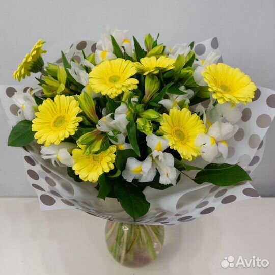Гербера букет цветов Доставка