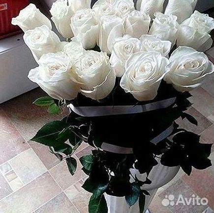 Высокие розы Доставка цветов