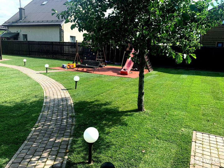 Рулонный газон 