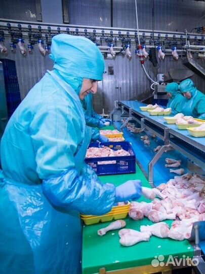 Обработчик птицы Работа Вахта г. Лиски