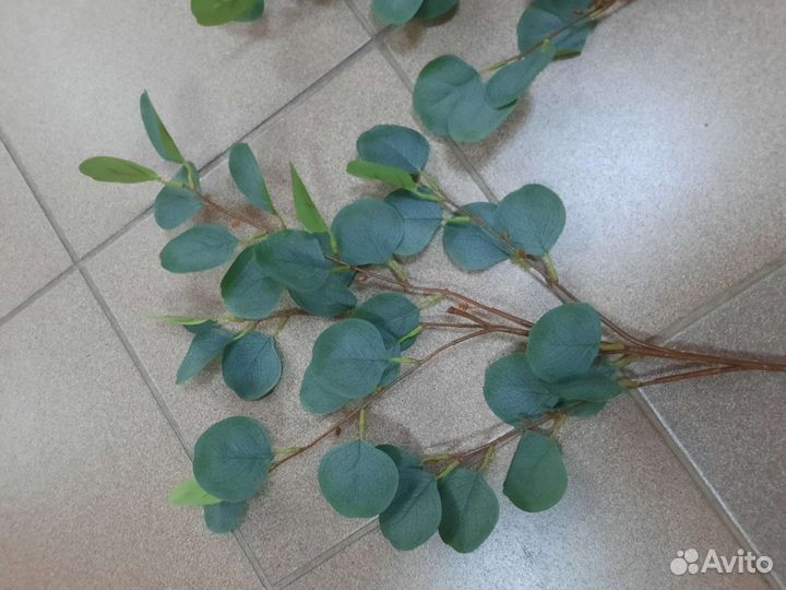 Эвкалипт искусственный