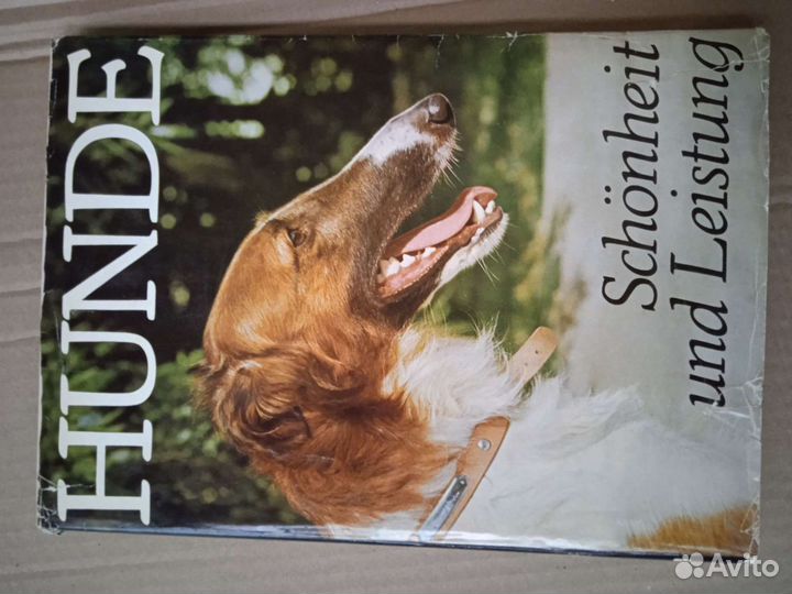 Редкие книги атлас пород собак