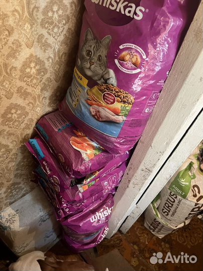 Корм для собак и кошек