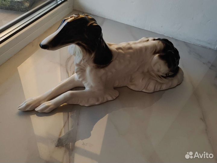 Гончая 1950г Германия