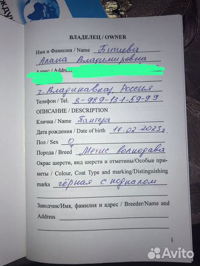 В добрые руки