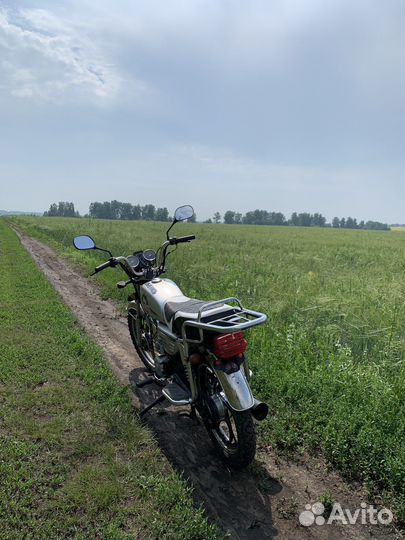 Alpha Virago 110 (irbis)