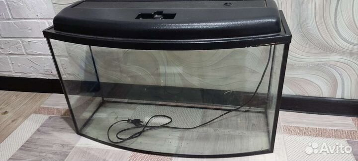 Коралл для аквариума