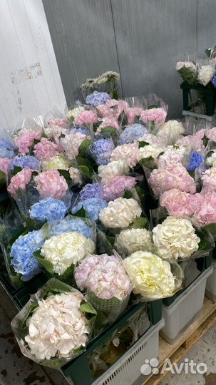 Цветы букеты оптом и в розницу