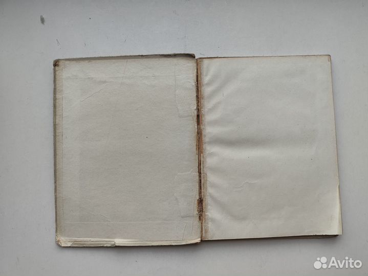 Страницы жизни. Из дневников и писем Георгия Сорок