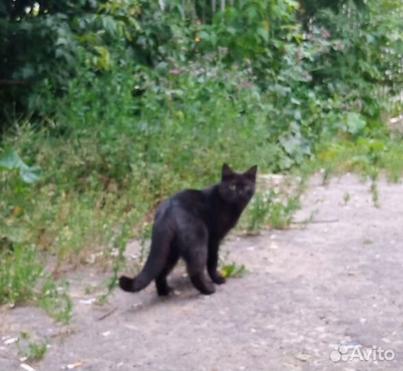 Вдруг и ей повезет