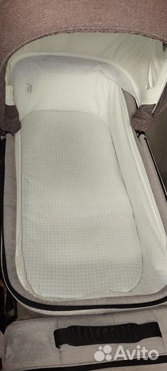 Коляска Adamex Reggio 2в1