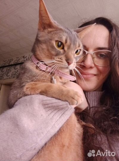 Зоопсихолог