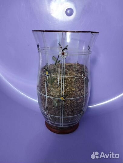 Семена укропа сухие