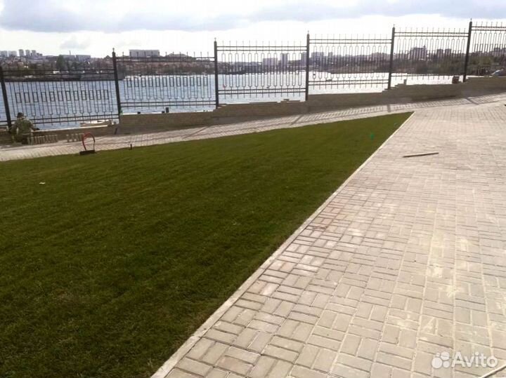 Рулонный газон