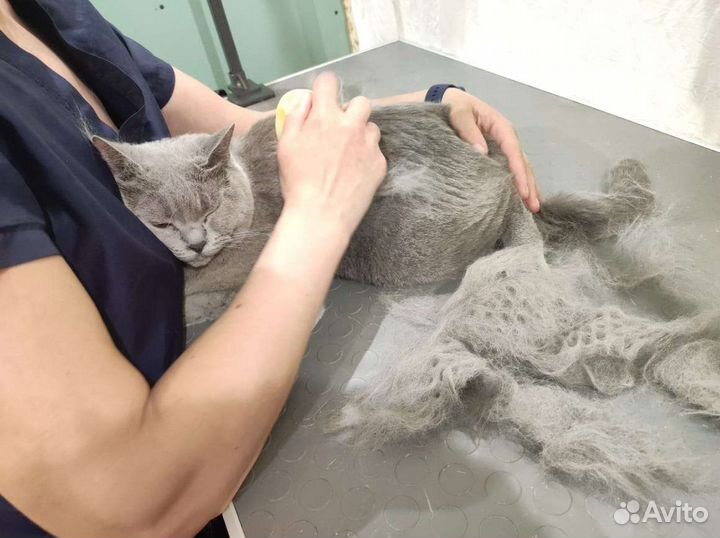 Грумер. Бережно стрижка, тримминг, вычесывание