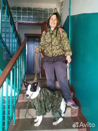 Комбинезон, теплый, для большой собачки