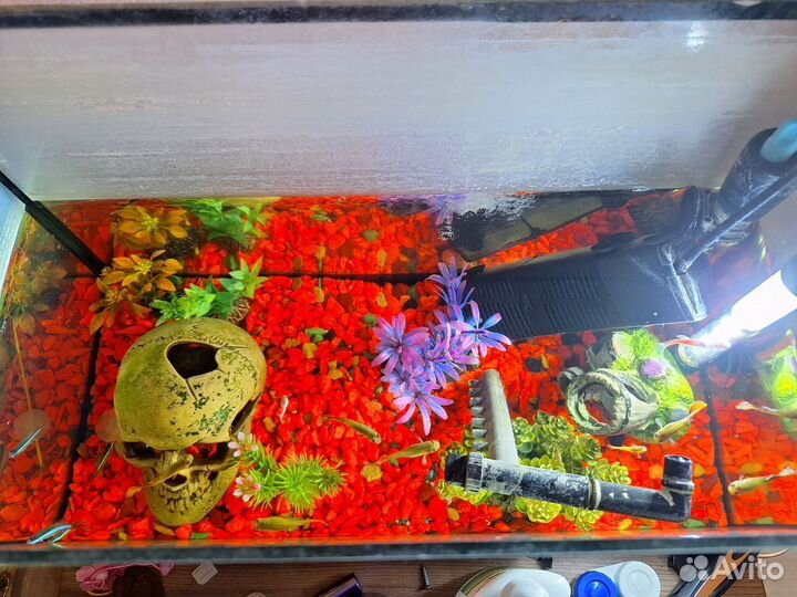 Аквариум