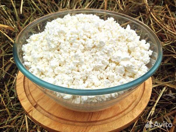 Козий творог