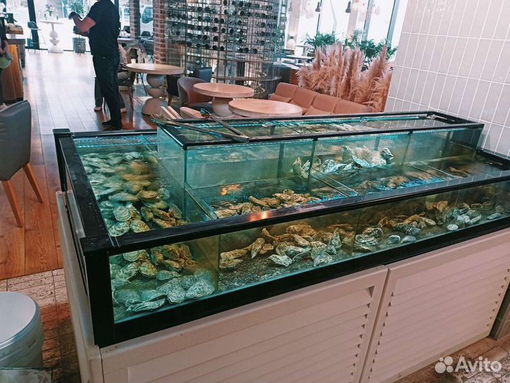 Обслуживание аквариумов с живыми морепродуктами