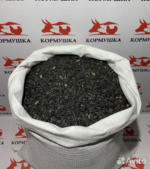 Подсолнечник