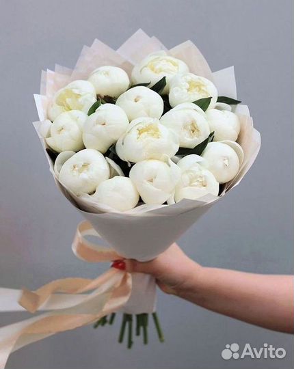 Пионы Букет пионов