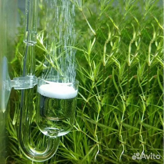 Со2 диффузор. Мембрана. Тест. Декорация. Коряга