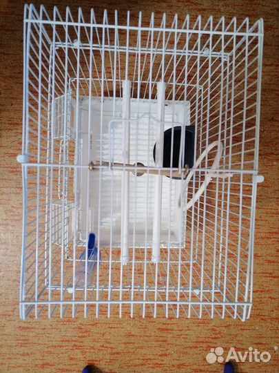 Клетка для попугая, в подарок корм