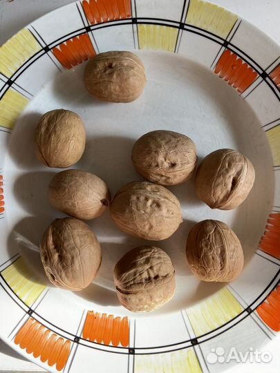 Грецкий орех в скорлупе турецкий