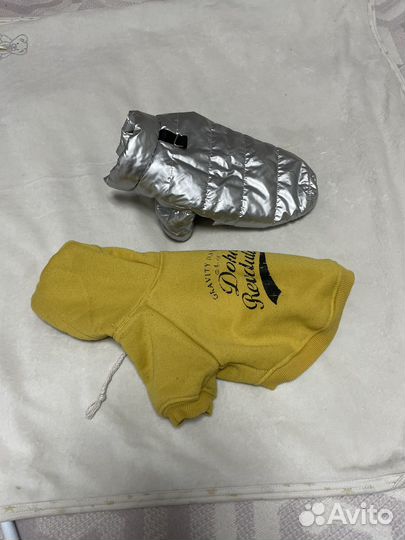 Шещи для собачки