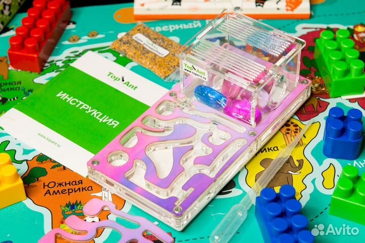 Ферма с муравьями / Формикарий