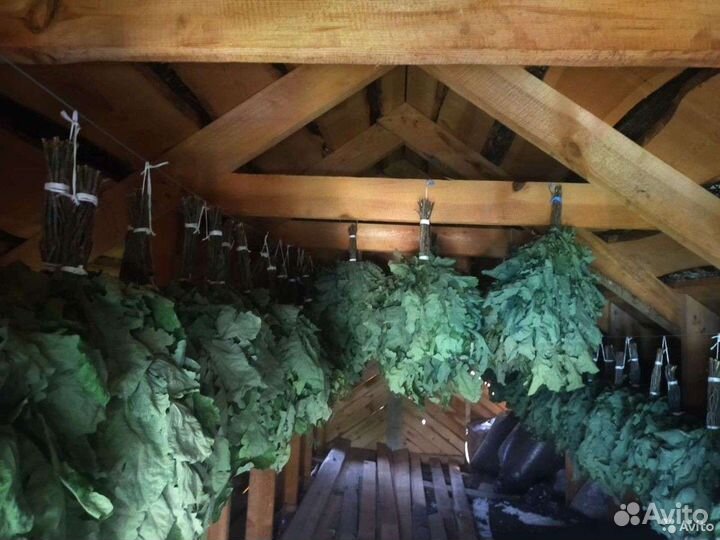 Веники для бани