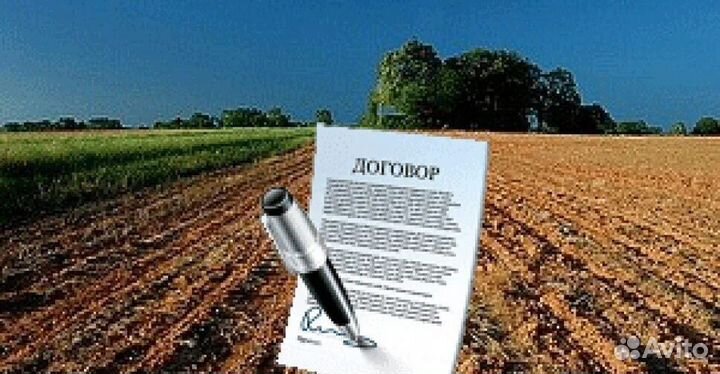Помогу оформить участок у государства