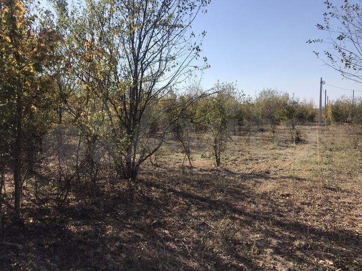 Участок 1,1 га (СНТ, ДНП)