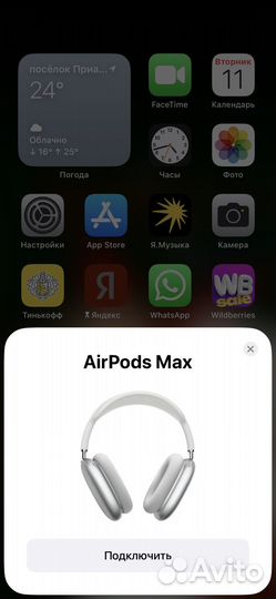 Air pods max Apple