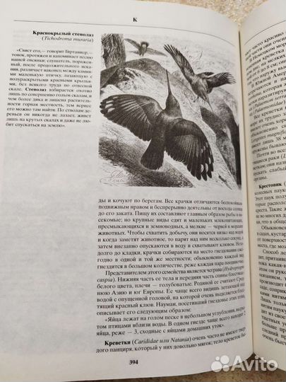 Жизнь животных Альфред Брем Москва 2003