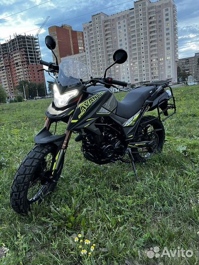 Avantis tourist 250