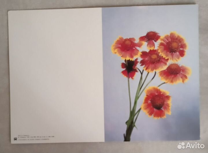 Открытки СССР