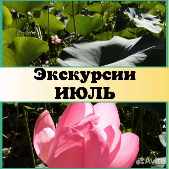 Экскурсии июль Волгоград