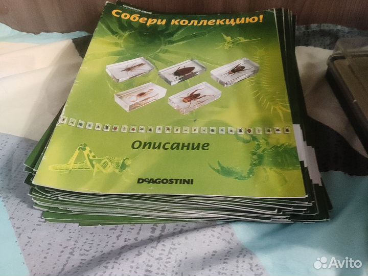 Насекомые и их знакомые